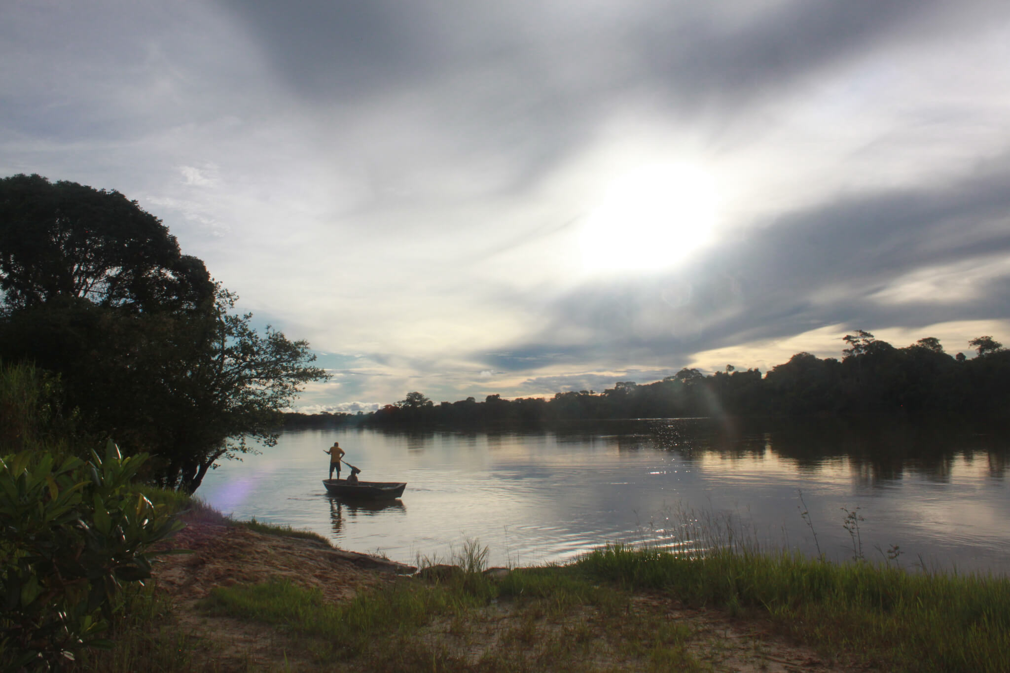 Chave na COP27, Amazônia tem 77% das emissões por desmate no Brasil