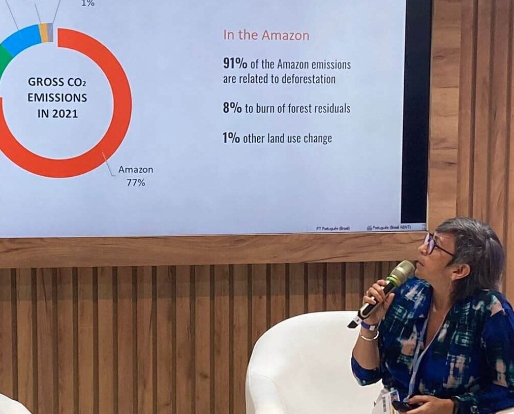 Governo deve priorizar cumprir Acordo de Paris, avalia Brazil Hub na COP27