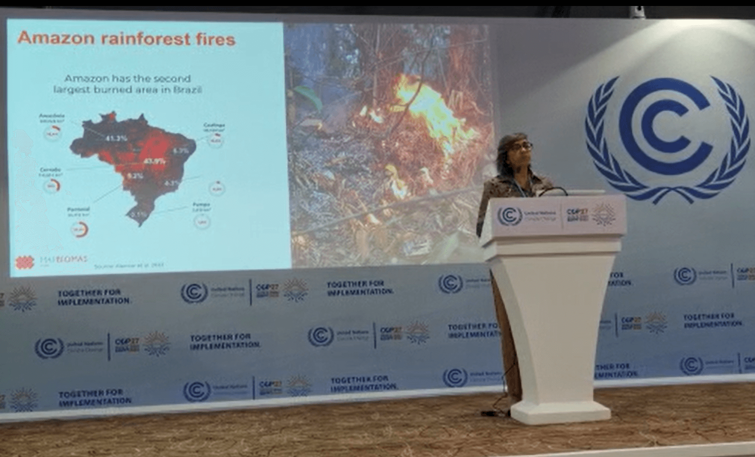 Amazônia pode atingir ponto de inflexão ainda nesta década