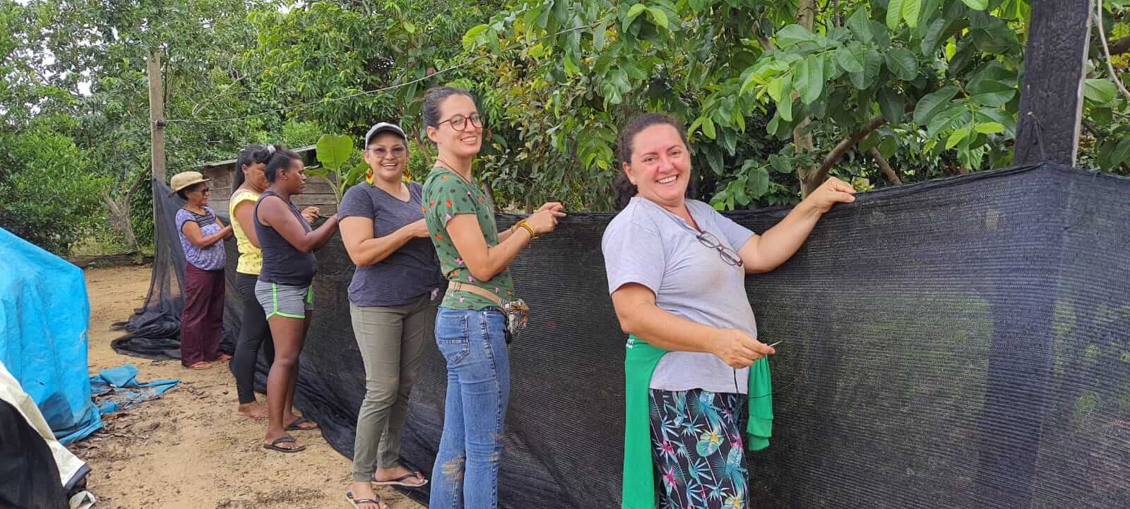 IPAM entrega viveiros em região do Pará a partir de projeto florestal