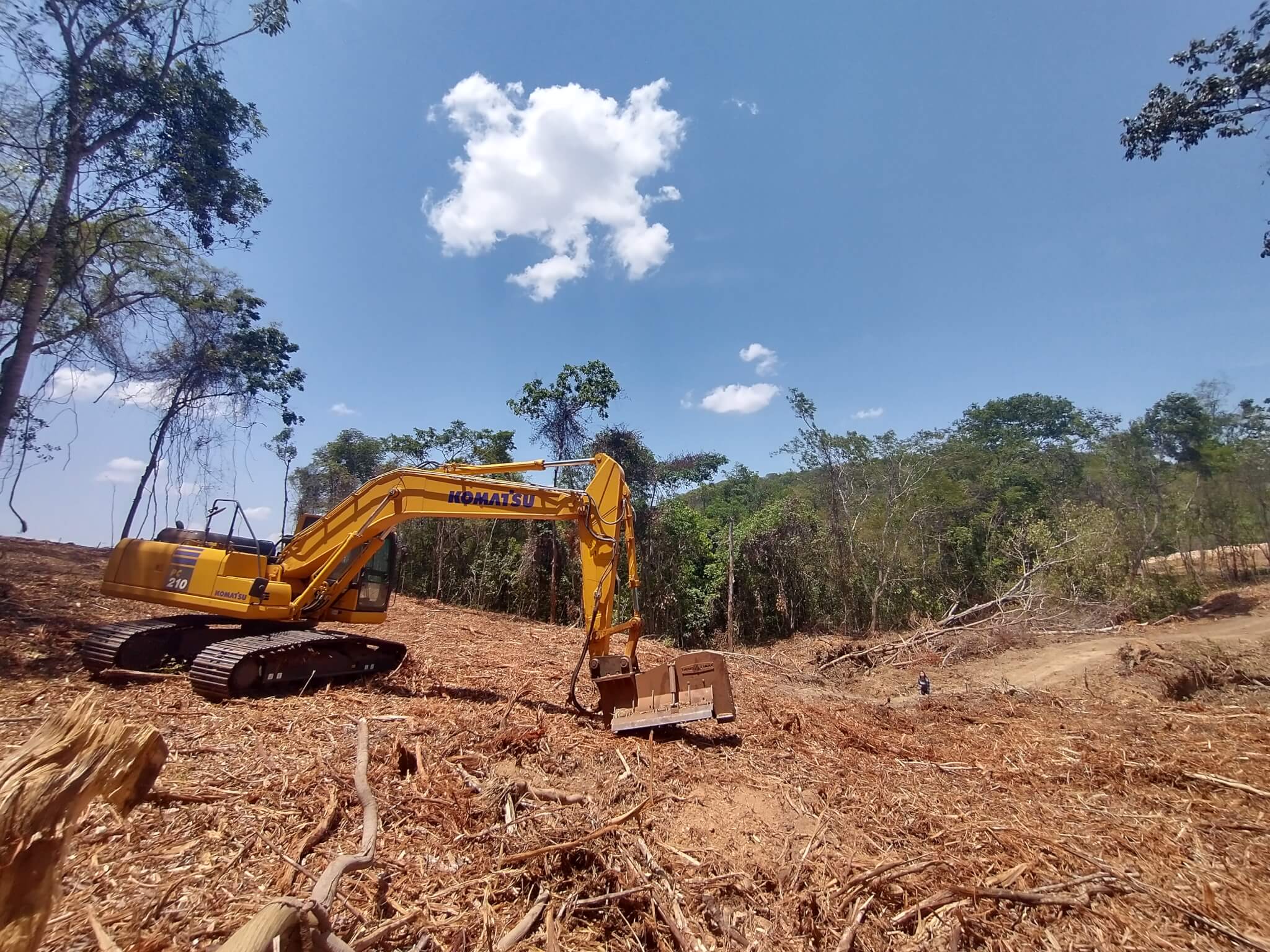 Desmatamento no Cerrado quase dobrou em dezembro de 2022