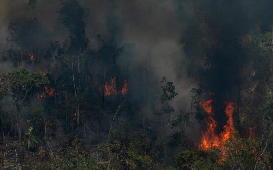 IPAM e parceiros buscam soluções para o desmatamento na Amazônia