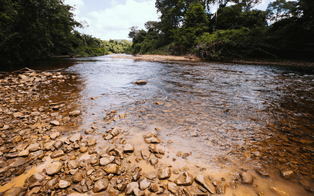 Desmatamento do Cerrado no Matopiba altera água em 373 municípios
