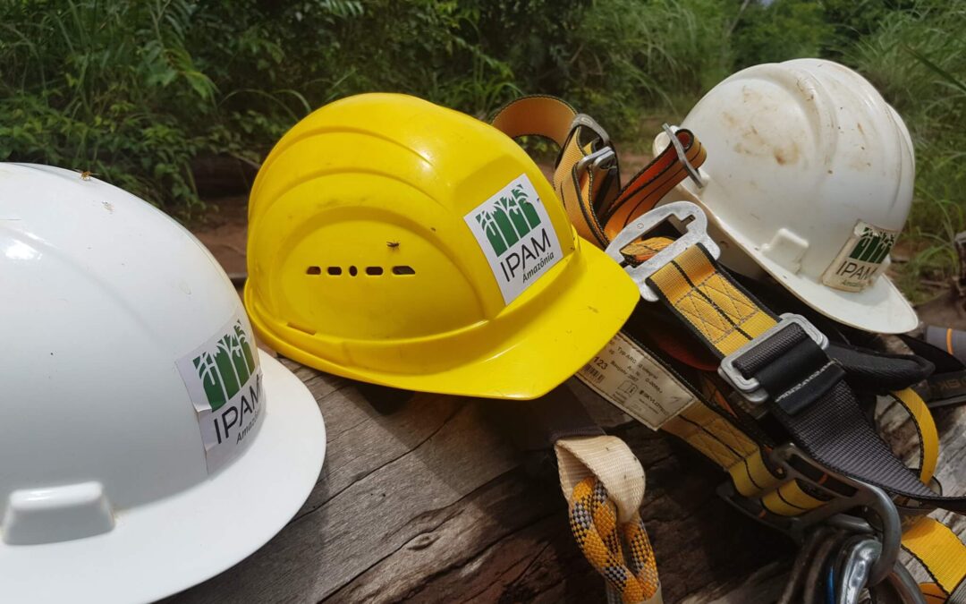 IPAM apresenta 29 recomendações à consulta pública do PPCDAm