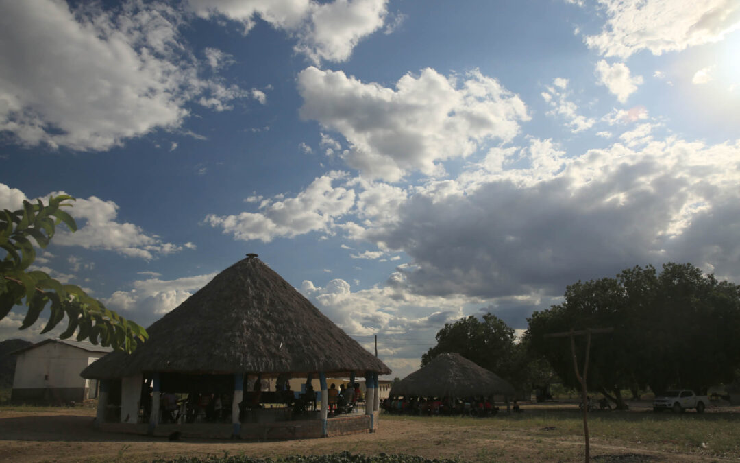 Desmatamento em TIs emitiu 96 milhões de toneladas de gás carbônico