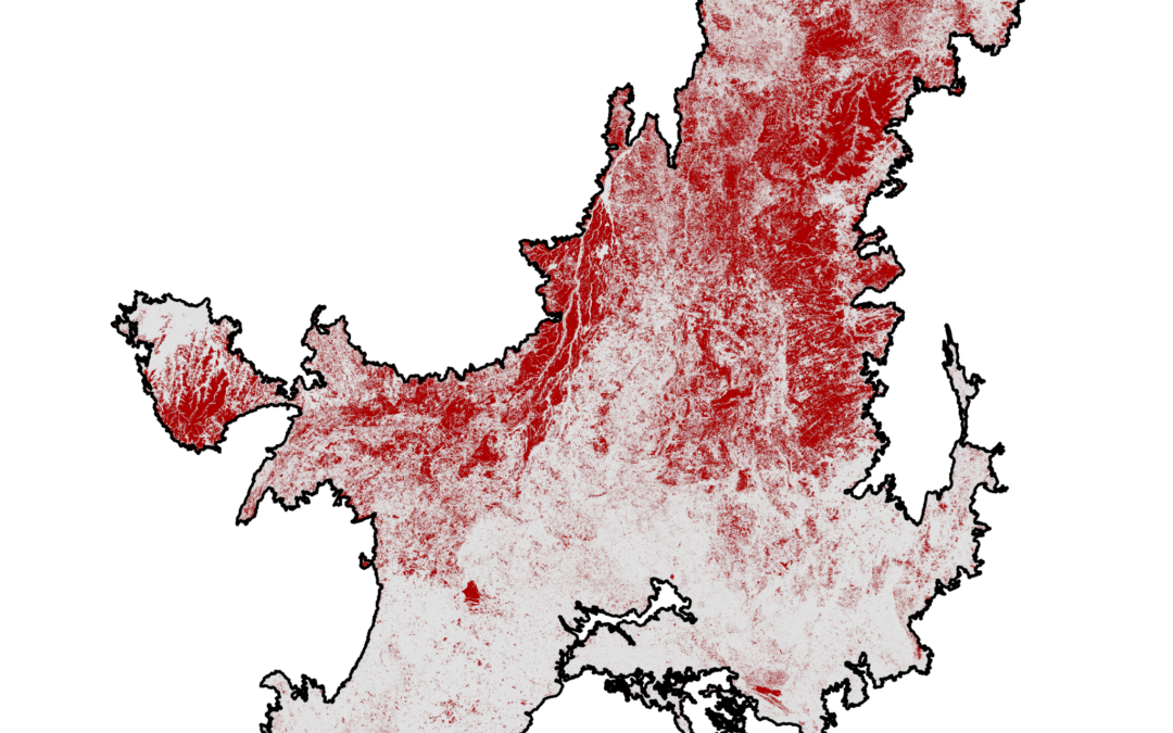 Fogo no Cerrado atinge vegetação nativa 88% das vezes