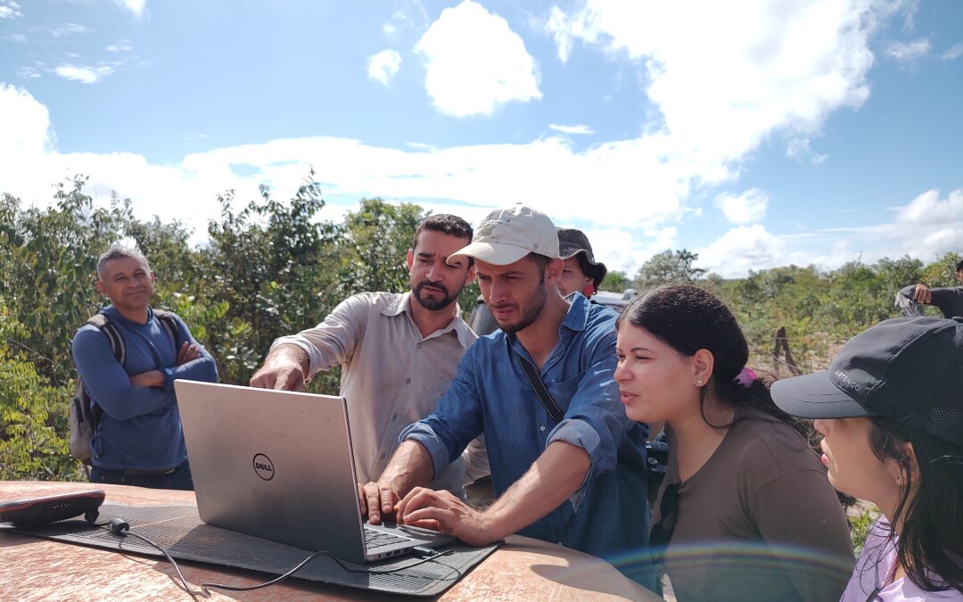 Grilagem verde é motor da violência no Cerrado do Matopiba