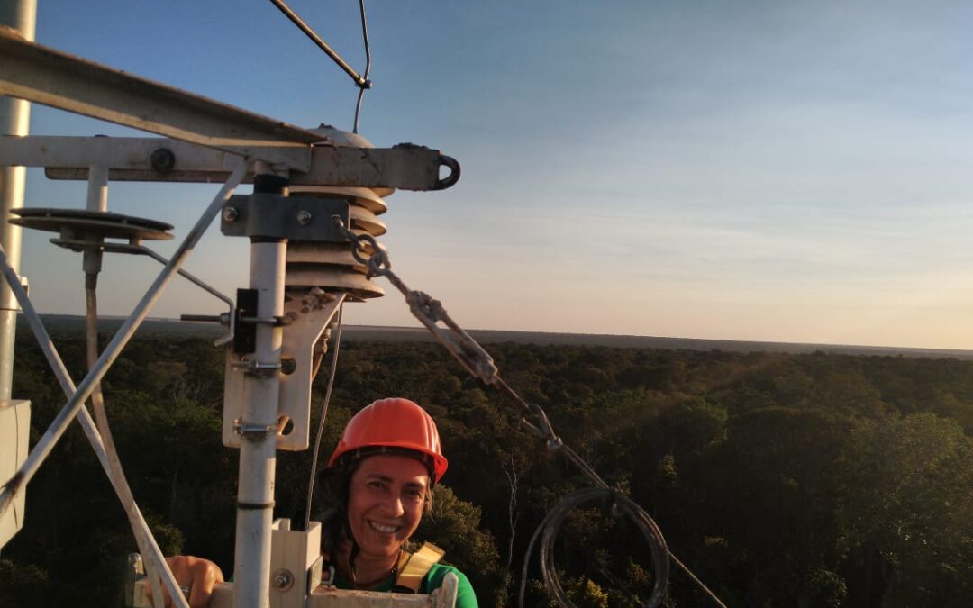 El Niño no Brasil: entenda efeitos de seca na Amazônia e chuva no sul