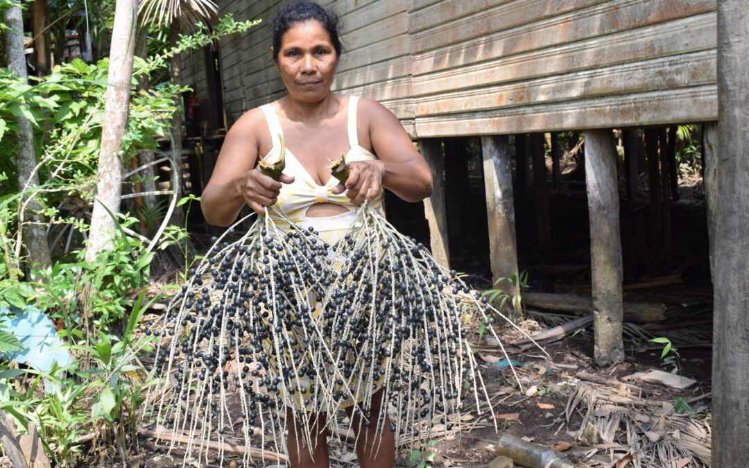 Belém recebe seminário sobre desafios e oportunidades do açaí
