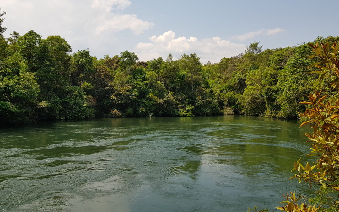 Transparência nos modelos de emissões é essencial para monitorar metas do Brasil