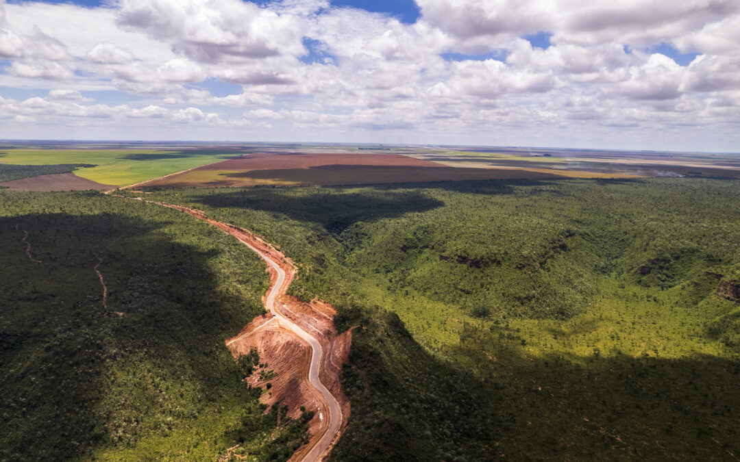 Desmatamento no Matopiba já derrubou 494 mil hectares de Cerrado desde janeiro