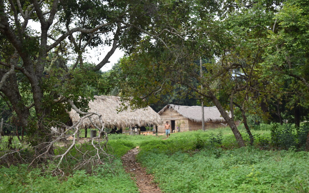Terras indígenas, “ar-condicionado” do Brasil: Xingu tem -5°C que entorno