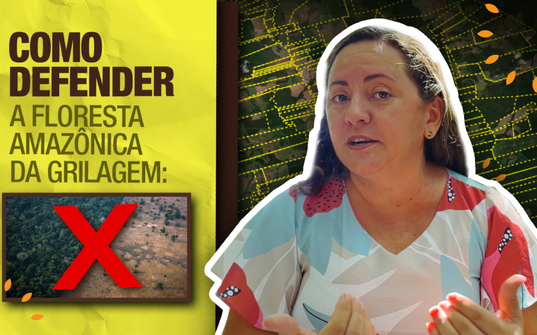 Cinco medidas para combater a grilagem na Amazônia