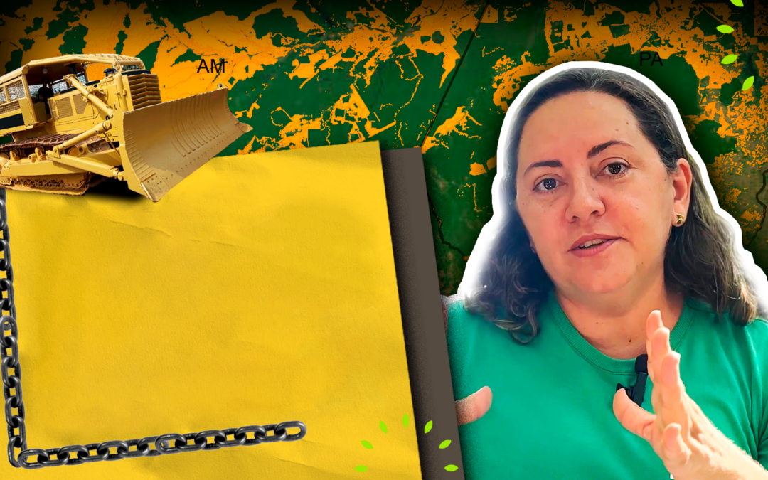 Na Amazônia, área pública do tamanho do Uruguai está ameaçada pela grilagem