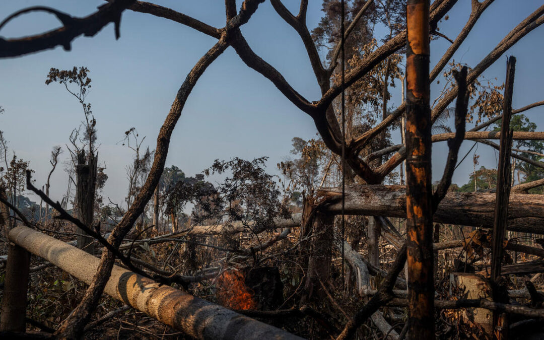 Fogo descontrolado na Amazônia ameaça ganhos e proteção ambiental