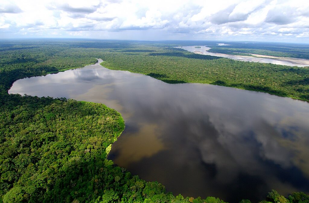 Estudo comprova que criar áreas protegidas diminui fogo na Amazônia