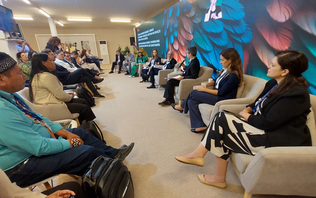 COP28: IPAM apoia políticas públicas estaduais em eventos no HUB da Amazônia