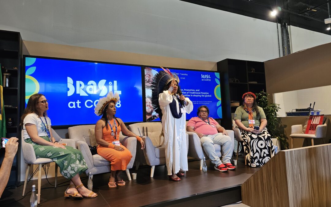 COP28: 30% da vegetação nativa da Amazônia estão em Terras Indígenas