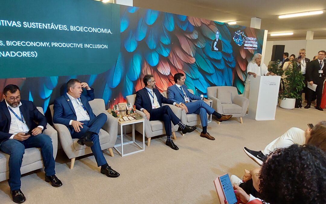 COP28: estados da Amazônia discutem alinhar sustentabilidade e economia