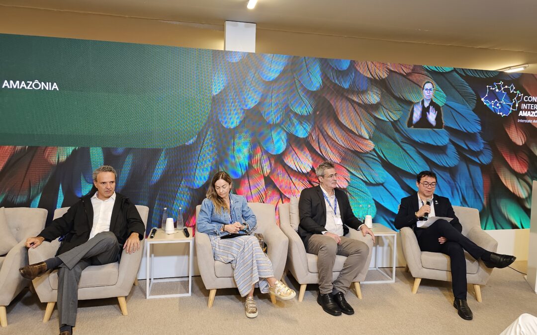 COP28: promoção de economia sustentável e de baixo carbono na Amazônia