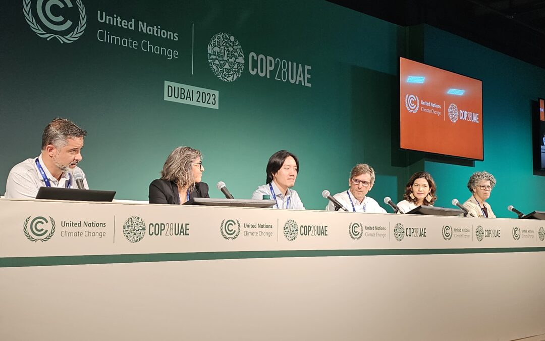 COP28: “Nós não deveríamos desistir do Cerrado”, diz Ane Alencar