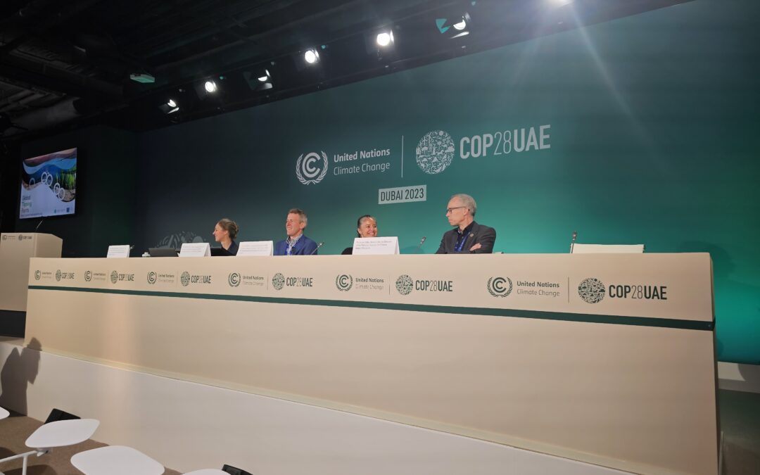 COP28: com participação do IPAM, estudo aponta estágio crítico de tipping points