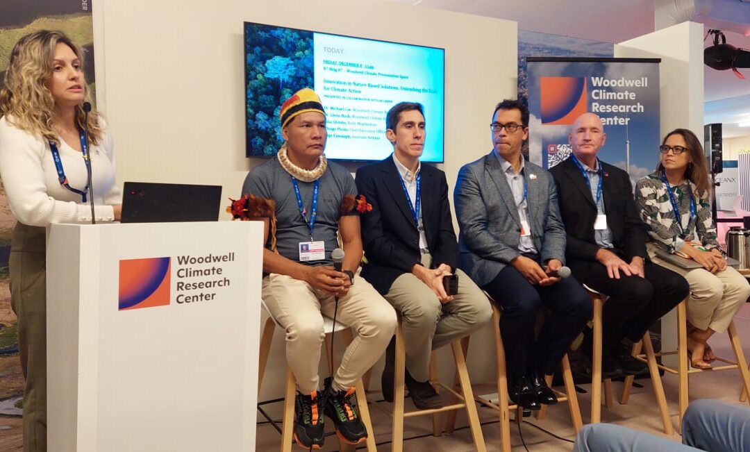 COP28: Monitoramento dá escala para soluções baseadas na natureza