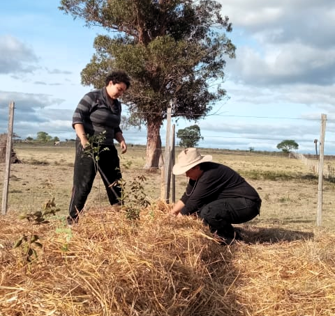 Conheça a história das “Minas” que saíram de Minas e foram parar em Minas