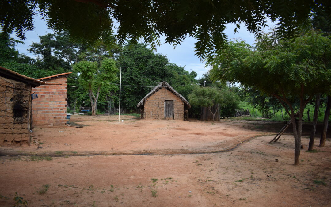 Tô no Mapa lança versão integrada à Plataforma de Territórios Tradicionais