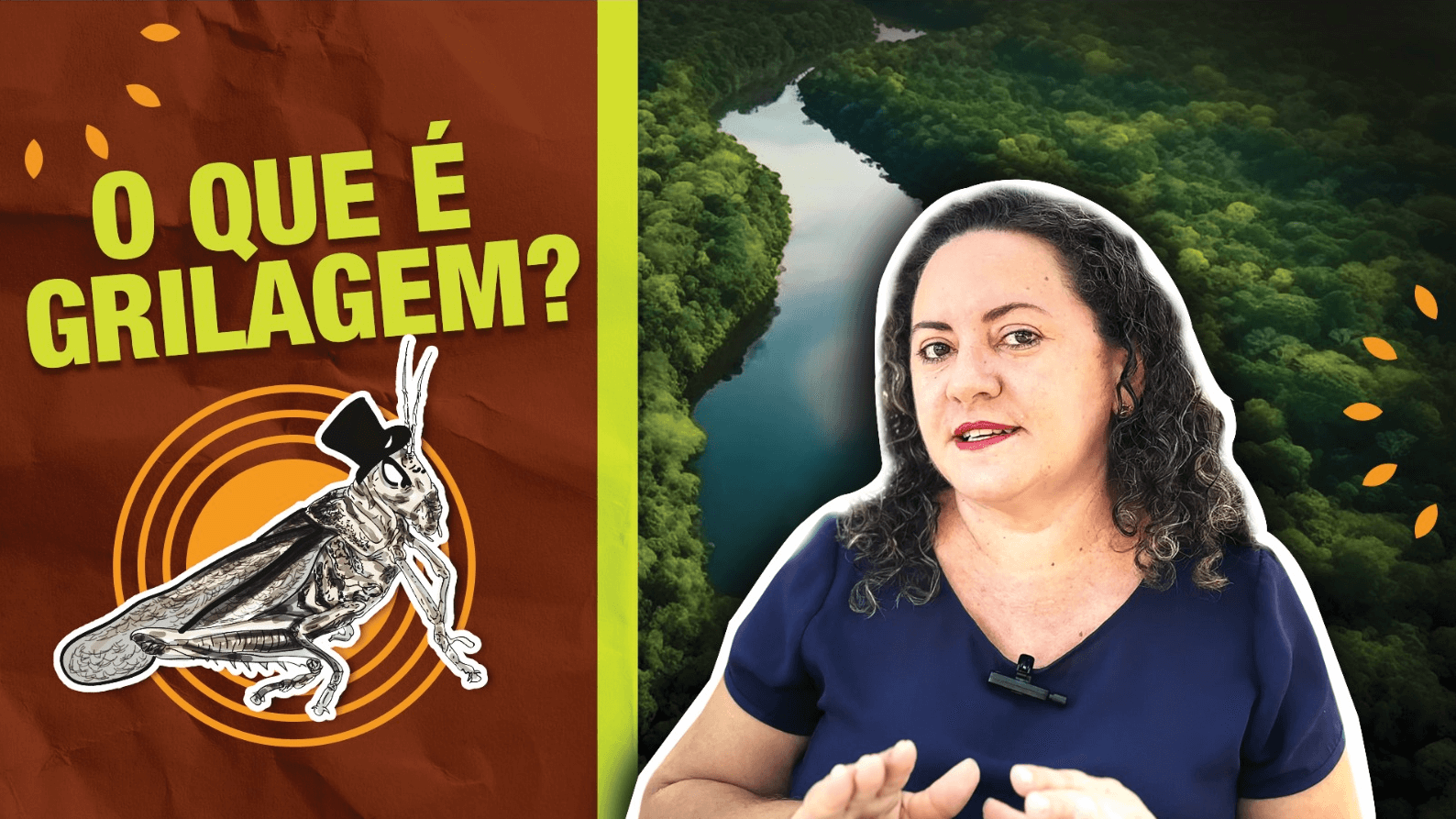 Serie O Que e Grilagem