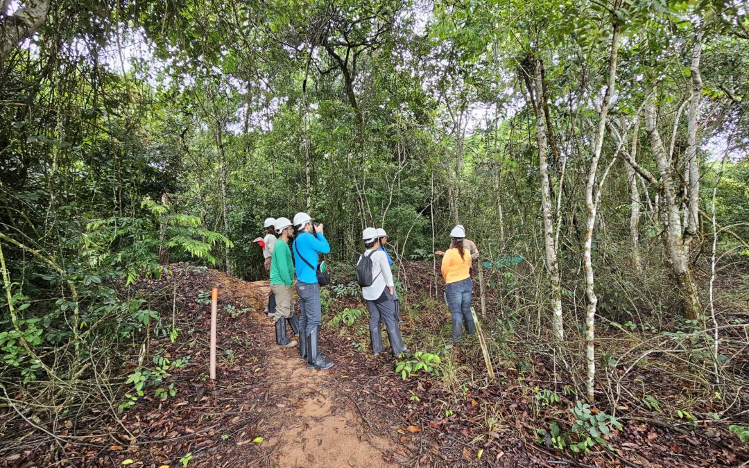 Impacto do fogo no longo prazo é apresentado na Fazenda Tanguro