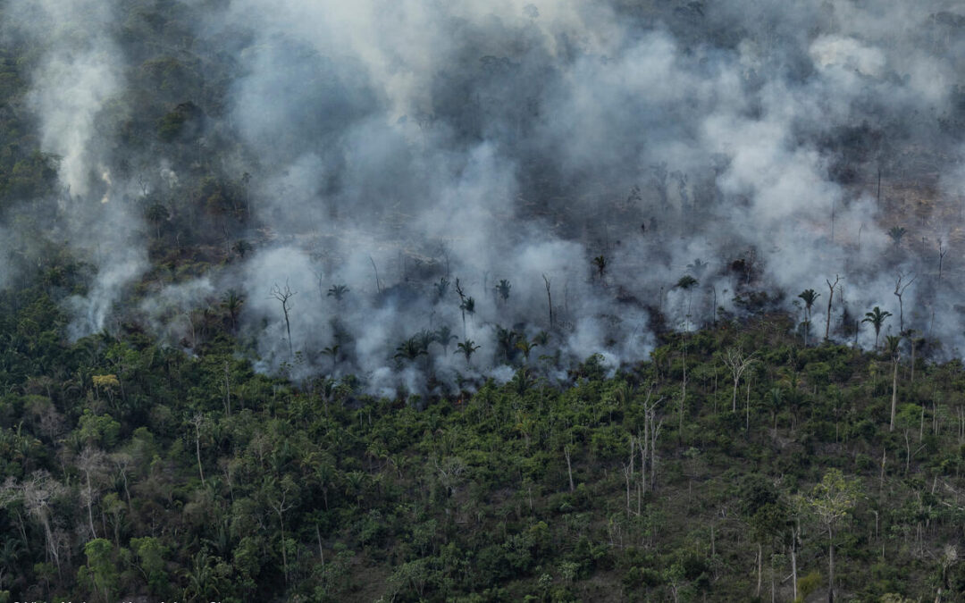 Fires in the Amazon and Cerrado: time is crucial to understanding the risk of fires