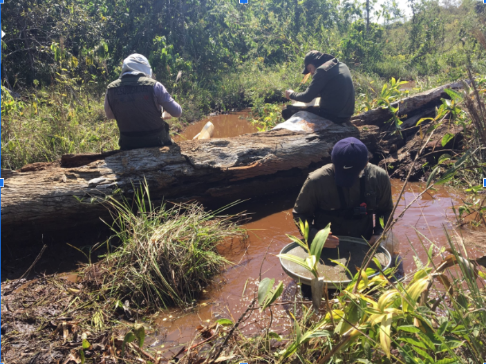 Proteção de mata ciliar deve ser ampliada para proteger biodiversidade