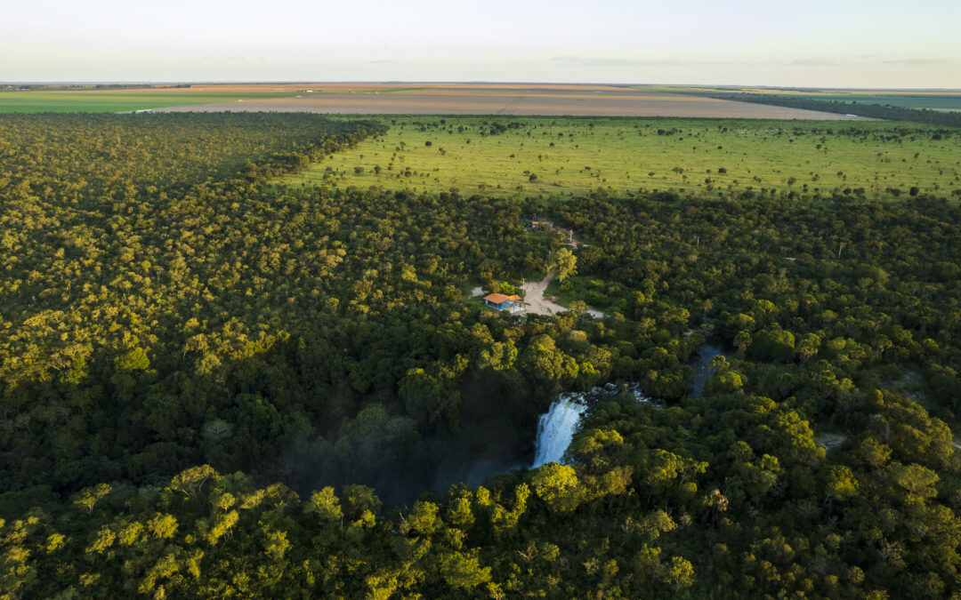 81% of deforestation in the Cerrado was concentrated in five river basins
