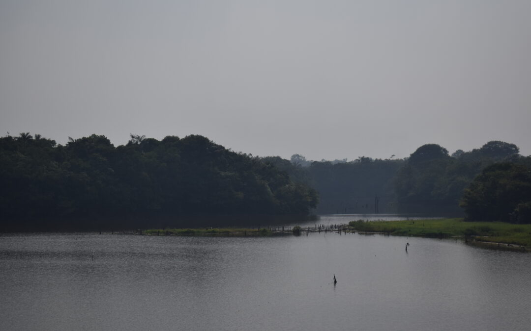 Área queimada aumentou 410% em fevereiro, aponta Monitor do Fogo