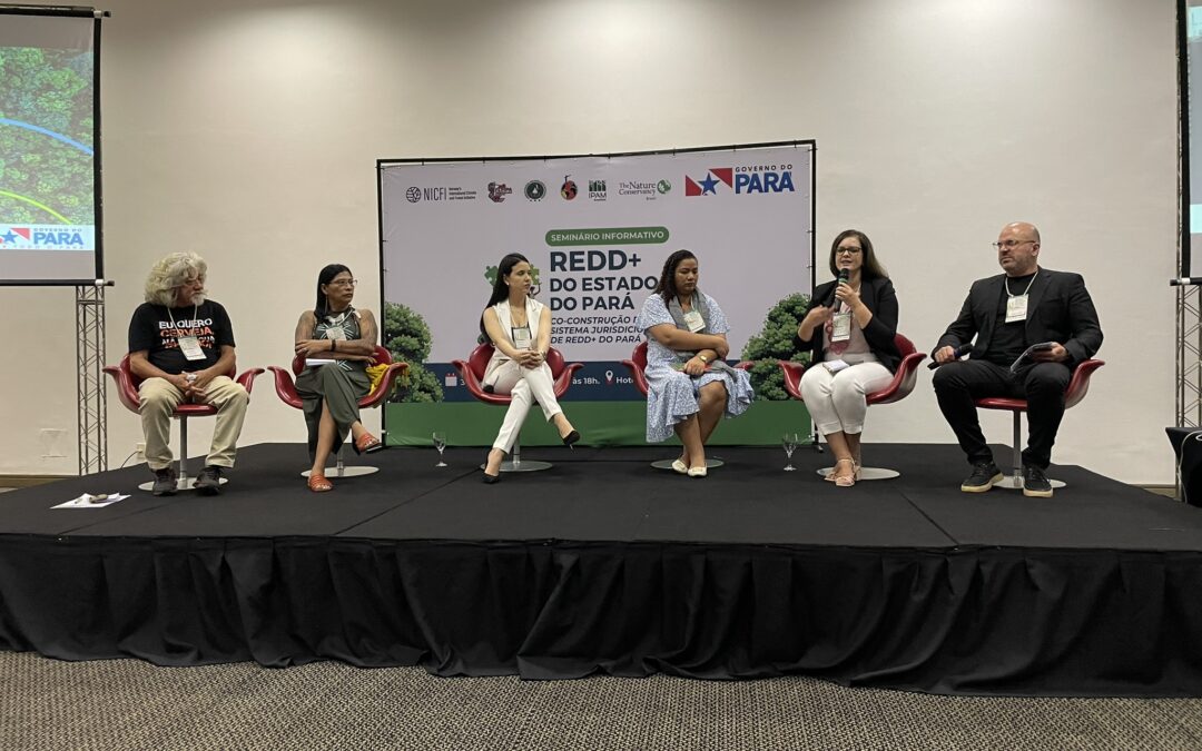 Debates sobre sistema jurisdicional de REDD+ movimentam sociedade civil