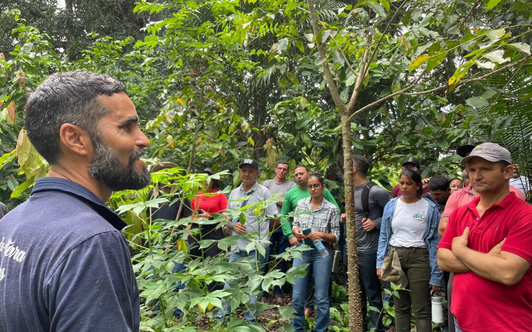 Agroflorestas, permacultura e agricultura sintrópica: IVISAM revigora produção em Irituia