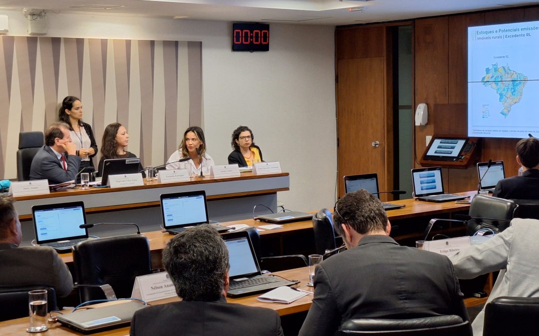 Ciência deve embasar diálogo para implementação do Código Florestal, diz IPAM