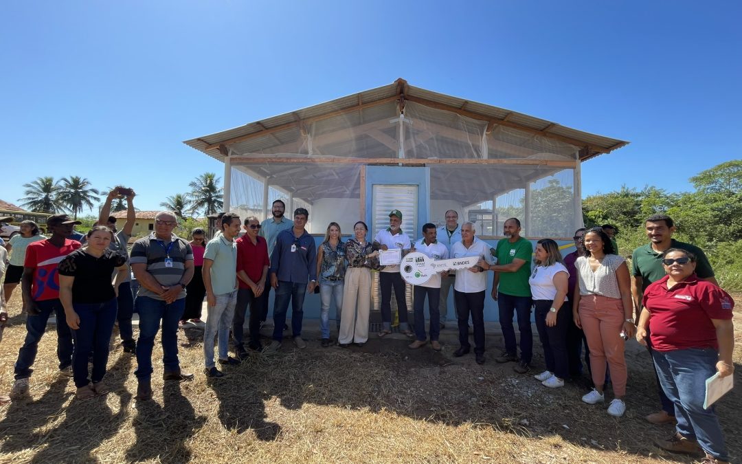 Agroindústria e agricultura familiar: estratégia promove o desenvolvimento no Pará