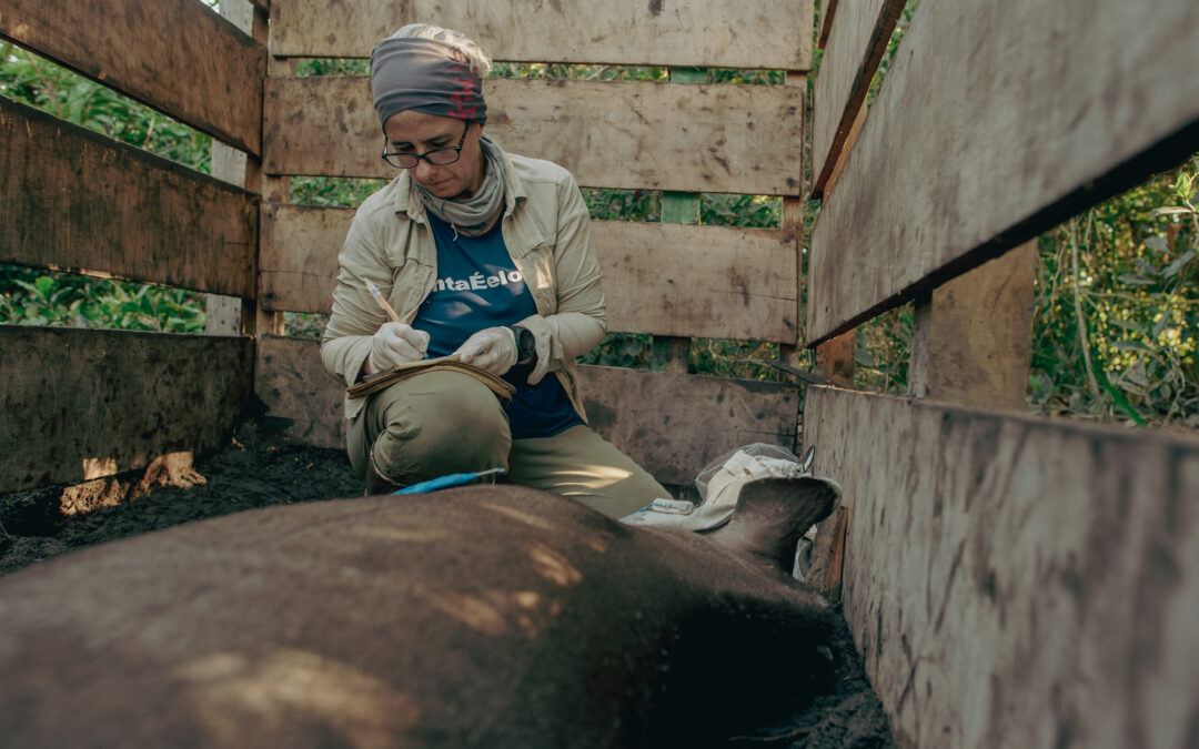 Patrícia Medici e o maior banco de dados sobre antas do mundo