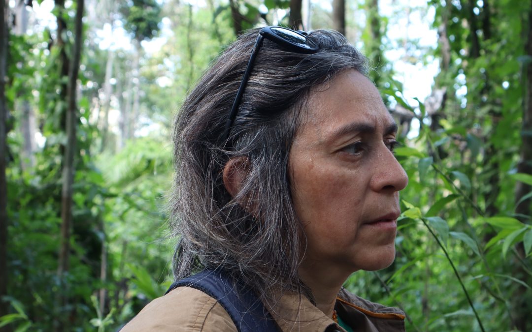 “Seca impactou nas chuvas criando situação de alto risco para incêndios florestais”