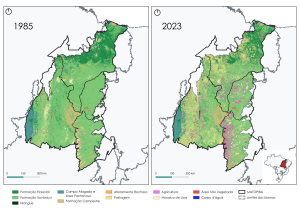 Mapa da fronteira dos estados do Maranhão, Tocantins, Piauí e Bahia - Matopiba - indicando áreas de vegetação nativa, pastagem, agricultura e outros usos da terra.