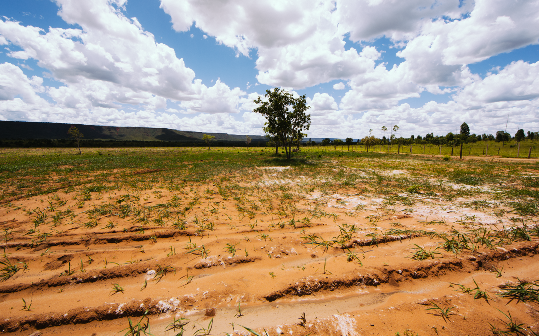 With new methodology, Brazil becomes a reference in emissions measurement