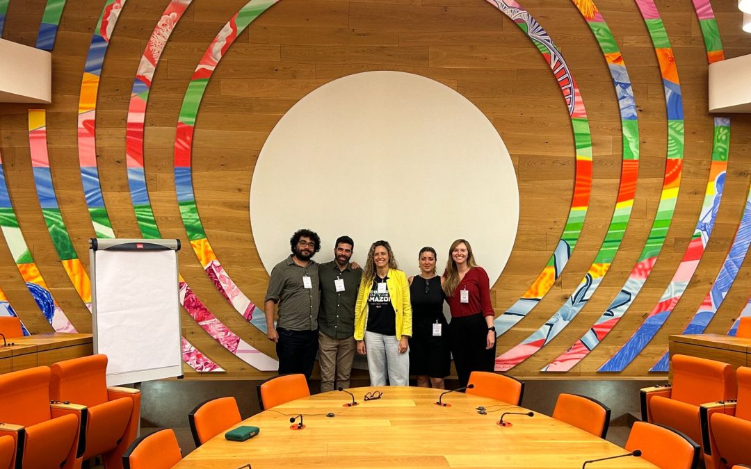 Pela primeira vez, FAO vai considerar benefícios da floresta para a agricultura