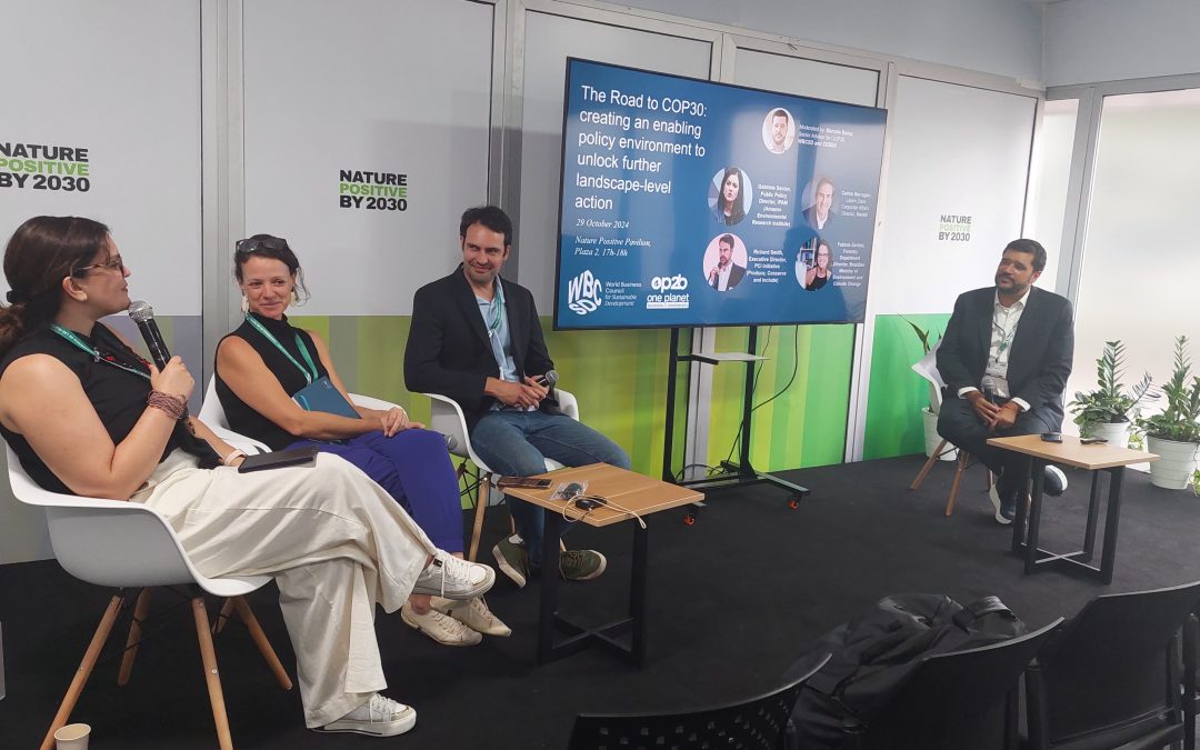 COP16: Integração é chave para converter desmatamento em conservação