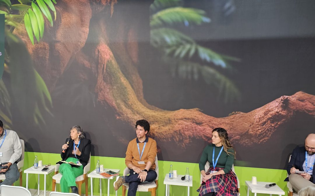 COP29: painel debate água, energia e alimentos para a sustentabilidade