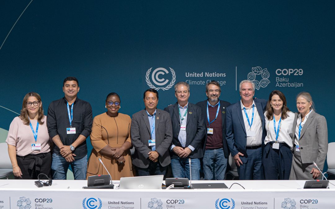 COP29: mercado de carbono deve valorizar florestas e povos indígenas