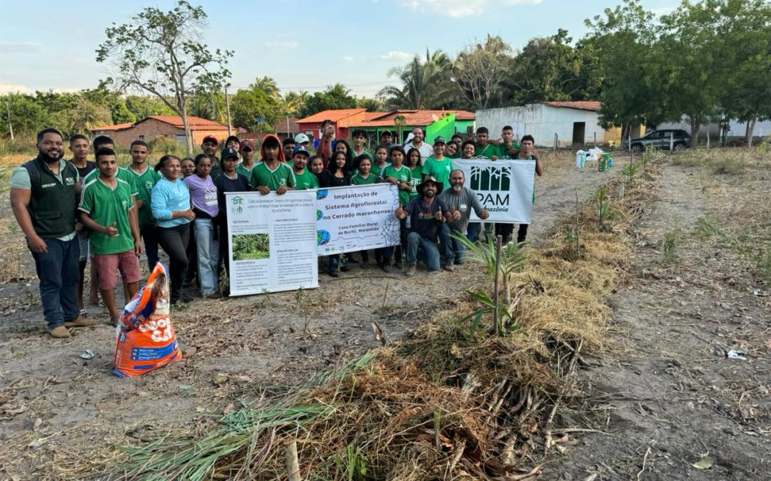 Iniciativa do IPAM promove sistemas agroflorestais no Cerrado maranhense