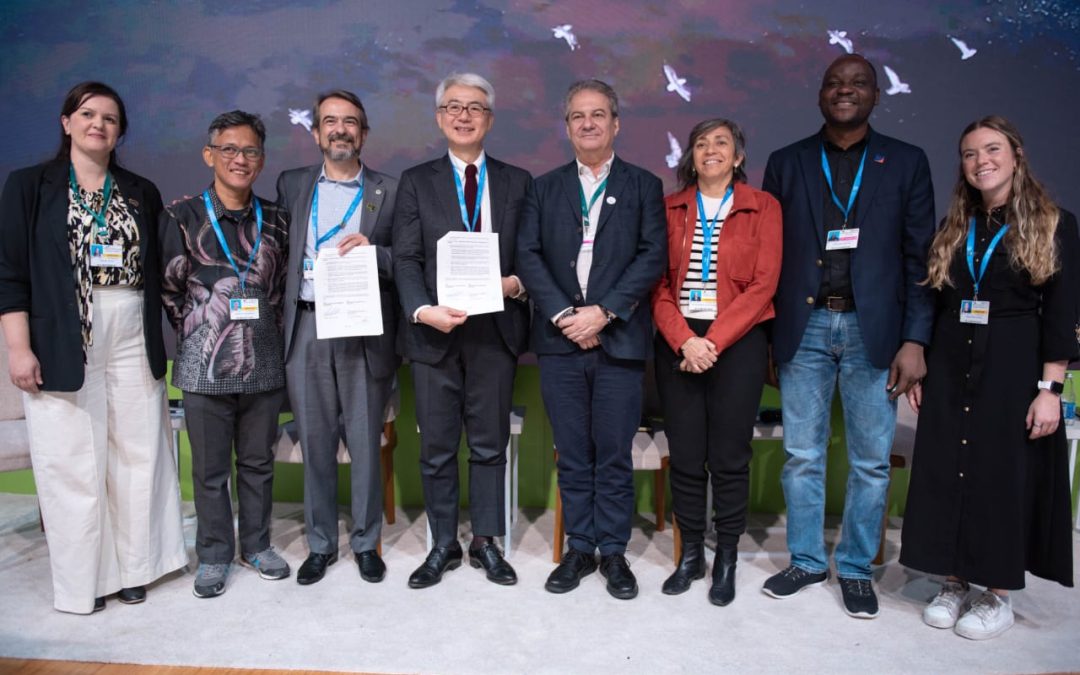 COP29: IPAM e ADBI firmam parceria para impulsionar ação climática no Sul Global