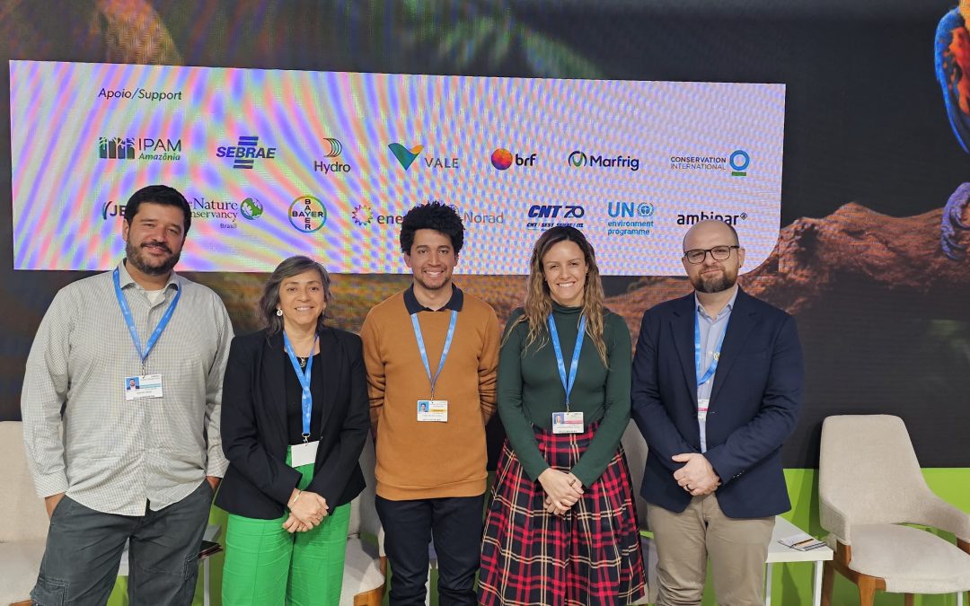 COP29: estudo do IPAM mostra benefícios da restauração na agricultura